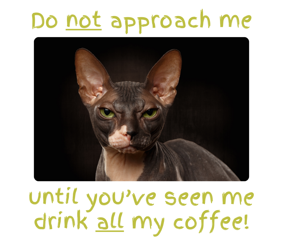 Don't Approach Me! (Mug)