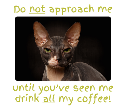 Don't Approach Me! (Mug)